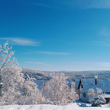 Gite Des Roches La Chaux-du-Dombief Eksteriør billede